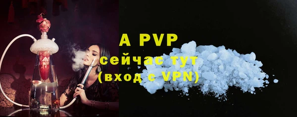 гашик Семилуки