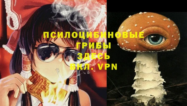 стафф Абинск