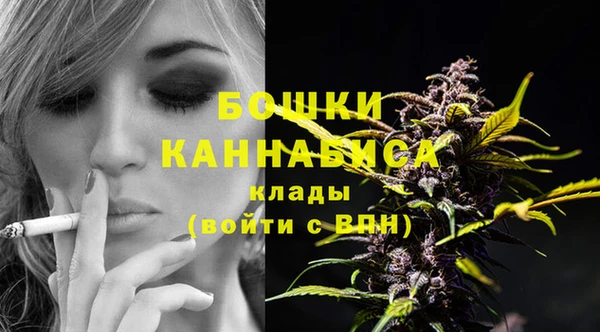 гашик Семилуки