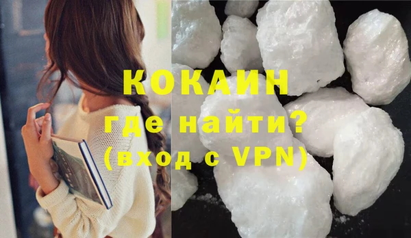 гашик Семилуки
