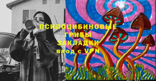 гашик Семилуки